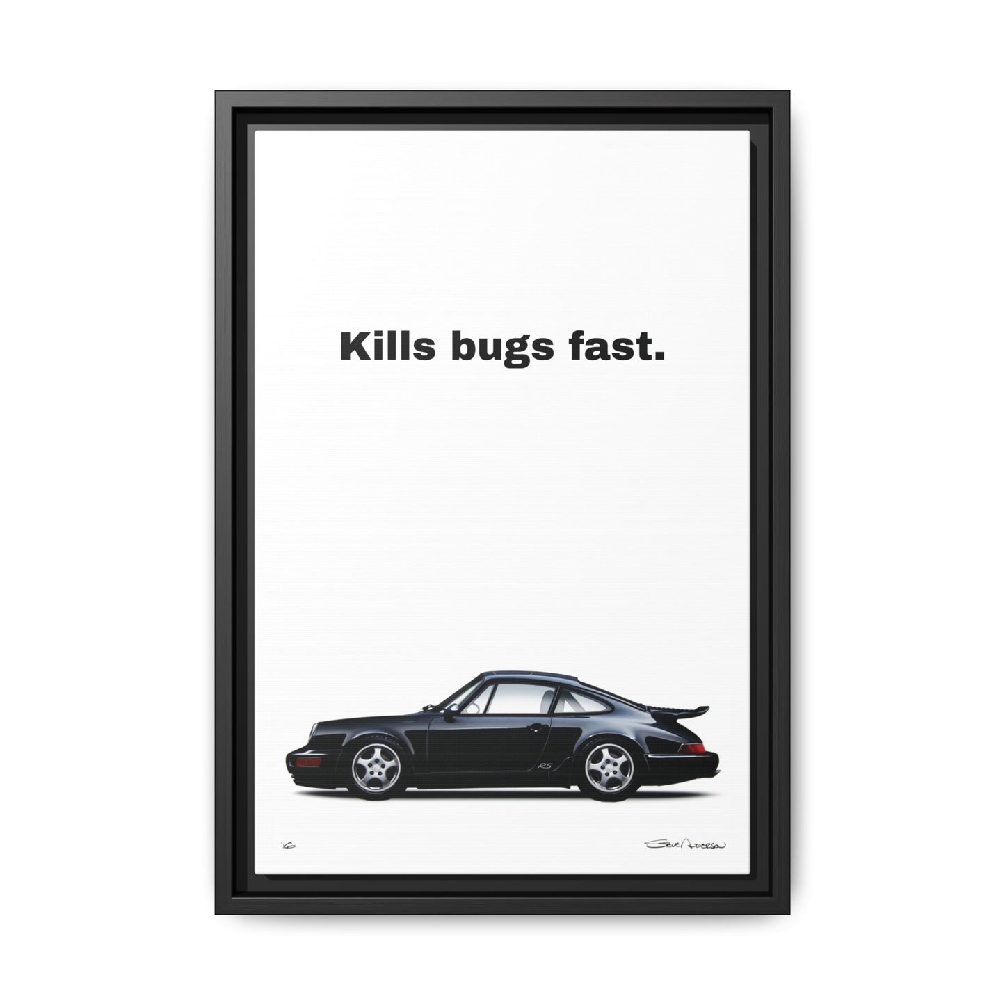 964 Kills Bugs Fast , Framed