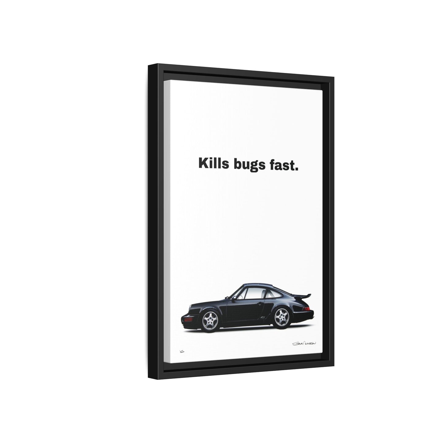 964 Kills Bugs Fast , Framed